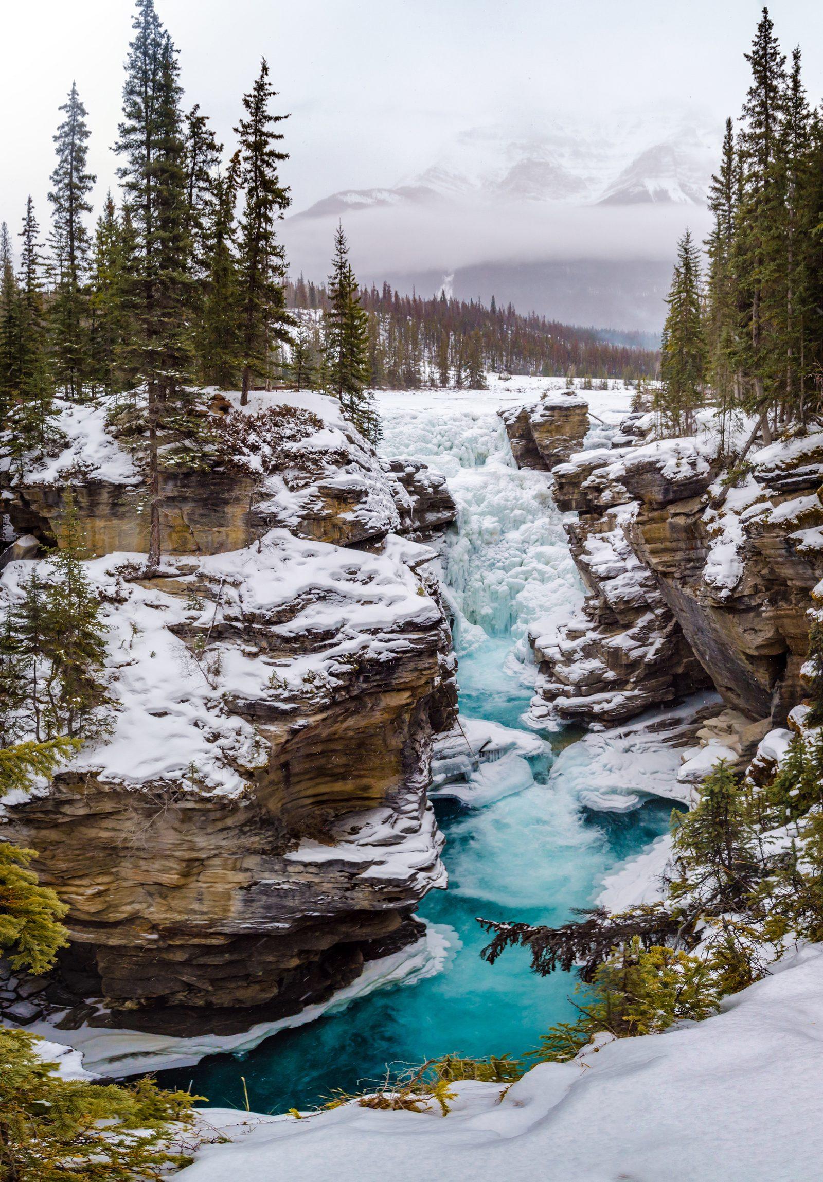 Athabasca Falls thundering through a gorge near Jasper